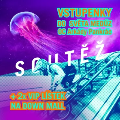 SOUTĚŽ: ADRENALINOVÁ JÍZDA DOWN MALL 🚲 A SVĚT MEDÚZ 🪼