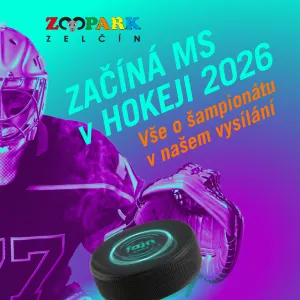 HOKEJOVÉ NAPĚTÍ NEKONČÍ! Zápas o nejlepší zábavu pokračuje v Zooparku Zelčín!